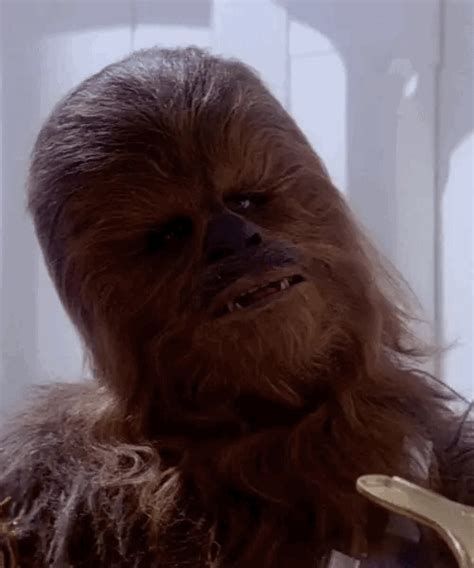 wookie meme|wookie gif funny.